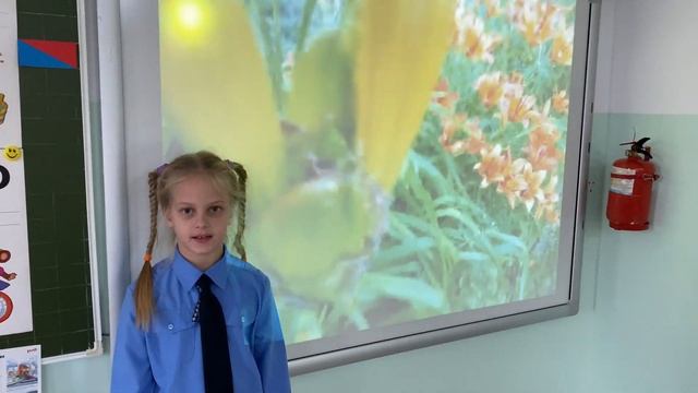 Дубровец Карина, 7 лет, Школа-интернат 30 ОАО «РЖД», г. Комсомольск-на-Амуре смотреть онлайн