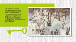 Январь в саду. Сезонные работы