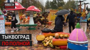 Более 20 тонн тыкв раздали в Мытищах