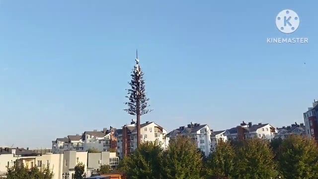 Осень в Краснодаре октябрь 2023 Переезд в Краснодар смотреть онлайн