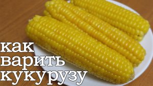 Как варить кукурузу. Как правильно варить кукурузу. Варёная кукуруза