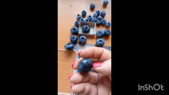 Самая крупная голубика Чандлер. Наконец-то... смотреть онлайн