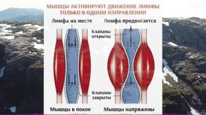 Гениальный рецепт из СССР! Александр Микулин: ПРОСТЫЕ ПРАВИЛА для Здоровья и Долголетия