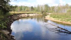 Лето 2023 в Клепиковском районе Рязанской области. Река Пра.