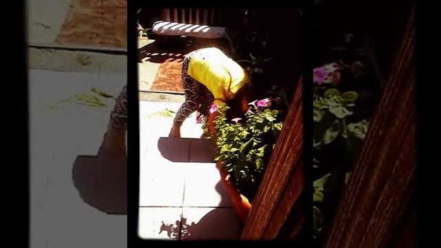 Мою полы в деревне смотреть онлайн