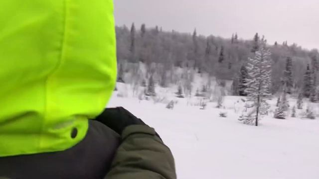 Путешествие в Заполярье.В гости к Хаски ч.2 Катание На собачьих упряжках смотреть онлайн