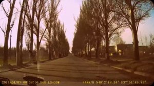 Тополиная аллея