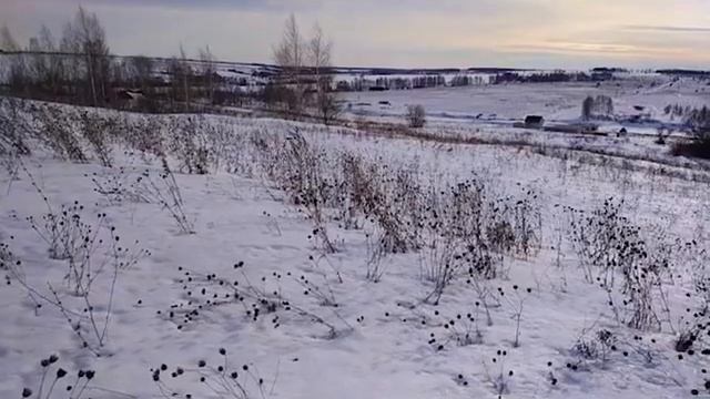 Участок 1051 Окунево смотреть онлайн