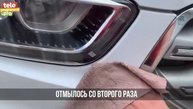 Насекомые