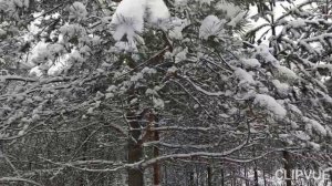 СЕРЕБРЯНАЯ СКАЗКА ИЗ ДАЛЁКОГО ДЕТСТВА...