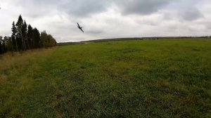 Легендарный Mustang P-51D для новичков от VolantexRC! ... Автовзлет, система стабилизации.