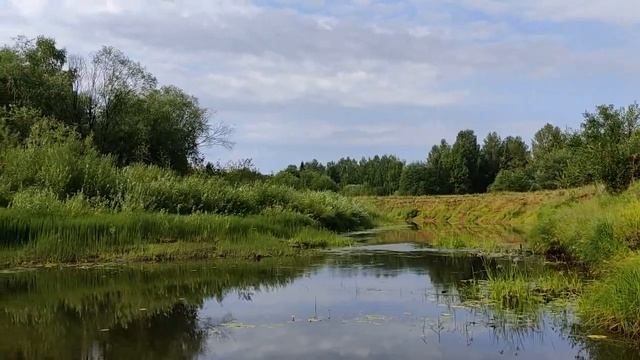 Село СТАРИЦА Свечинского района ИЮЛЬ 2021 (часть 2)