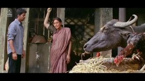 சிவகாசி | Sivakasi Full Movie | Vijay | Asin | Prakashraj | Ganja Karuppu |  Thalapathy Movies