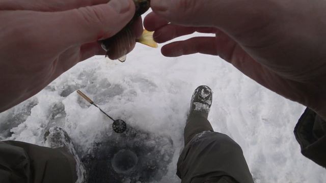 Жерлицы на щуку первый раз, ловля окуня на мормышку. Зимняя рыбалка!