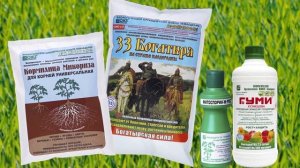 Красавец-донник – азотфиксатор и медонос!