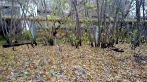 Заброшенная железная дорога, ведущая к ТЭЦ 1. Заброшенный путь для подвоза торфа.