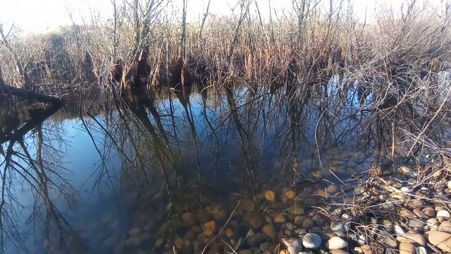 Рыбалка в Адыгее 03.01.24. Ловлю щуку в луже смотреть онлайн