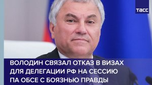 Володин связал отказ в визах для делегации РФ на сессию ПА ОБСЕ с боязнью правды