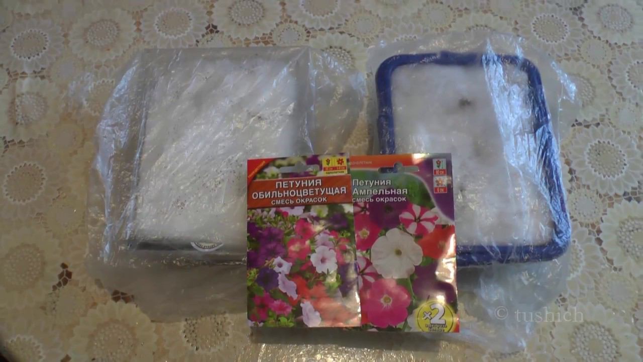 Сажаем семена петунии на снег! смотреть онлайн