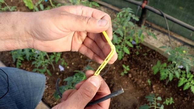 Капельный полив для теплицы своими руками смотреть онлайн