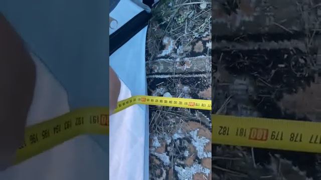 ag2038 синяя смотреть онлайн