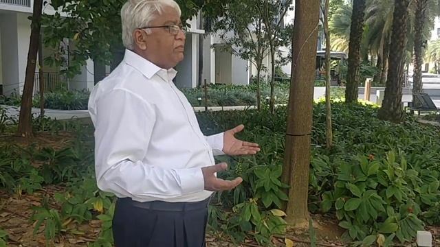 Penicillium citrinum- Manganese mobilizing fungus - Mn Sol B® смотреть онлайн