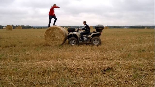 Антон и сено смотреть онлайн