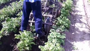 Дисковый окучник с опорными дисками 3