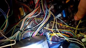 Проблемный Маяк 249 (альбинос)