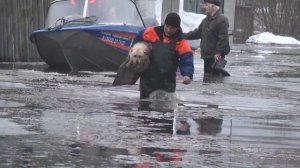 Наводнение в Далматово Курганской области. Видео - KURGANru