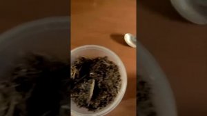Калмыцкий чай
