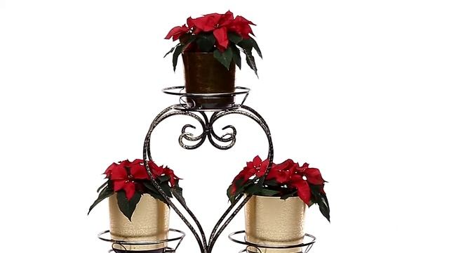 Кованая подставка для цветов 70-483 смотреть онлайн