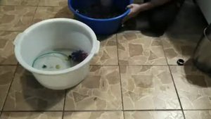 Как помыть аквариум у рыбки петушка