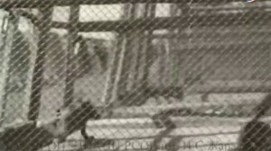 Документальный фильм _Лена — река_.  Реж. Н. Тихонов, опер. А. Зильберник. 1950 год..mp4