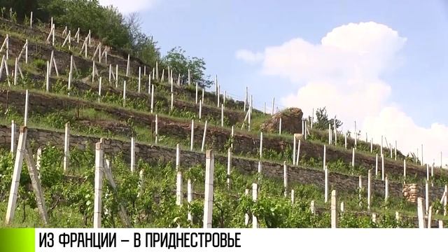 О Приднестровье с французским акцентом смотреть онлайн