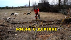 ОДНИМ УДАРОМ 2 ЗАЙЦЕВ. СЕНО ДРОВА И ЧИСТЫЙ УЧАСТОК