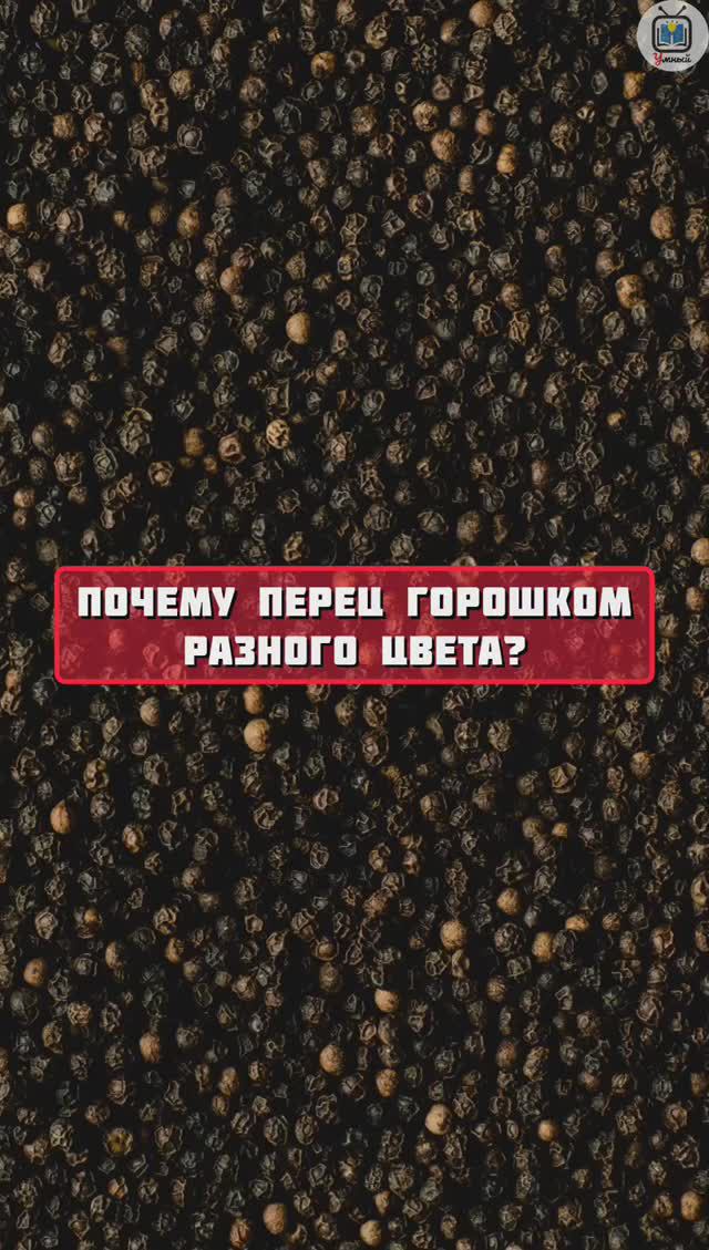 Почему перец горошком разного цвета? / интересные факты