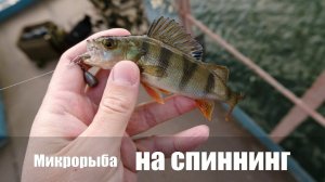 Микроджиг, микроокунь, микроёрш