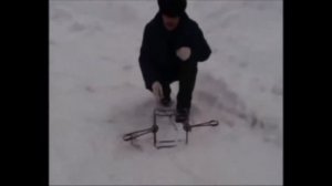Как насторожить капканы и самоловы?