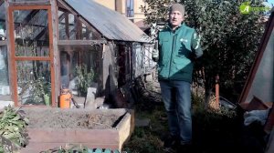 06 - Мхи и лишайники на плодовых деревьях - как с ними бороться Чем опасны мхи и лишайники