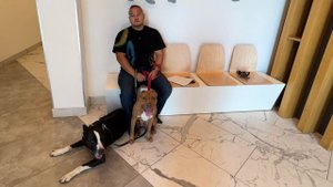 Не только кошкам нужно проходить обследование☝️МВЦ Два Сердца