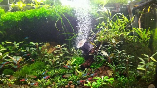 Hydor Bubble maker - распылитель воздуха смотреть онлайн