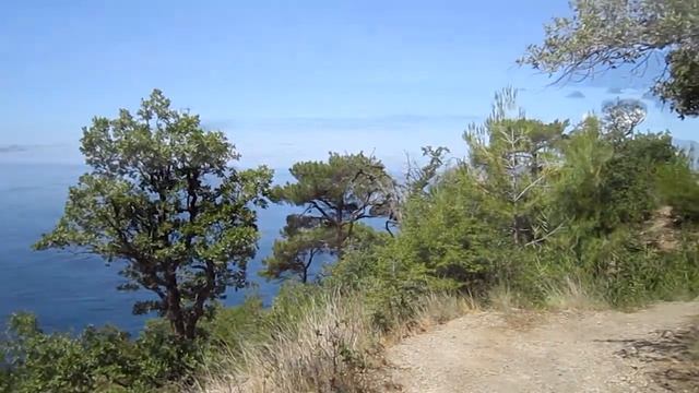 Тарковский - "Жизнь, жизнь" (Крым) смотреть онлайн