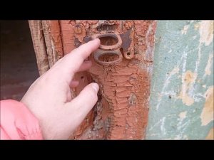 Поселок Сокол. Территория бывшей секретной лаборатории Б