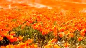 Прекрасные степи Казахстана