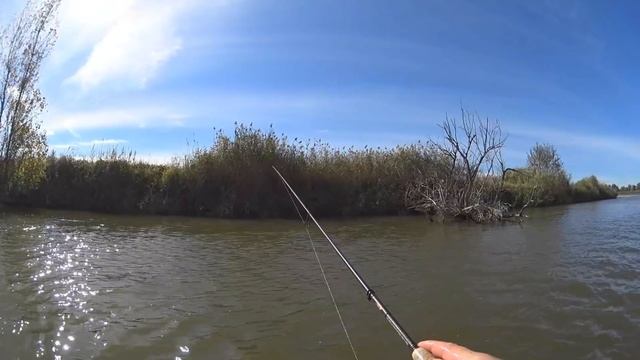 Рыбалка в Астрахани. Ушли в отрыв у затонувшего дерева. Часть 1 смотреть онлайн