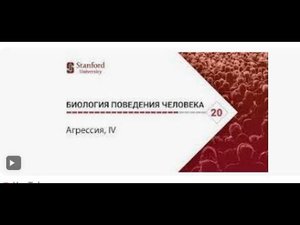 Биология поведения человека  Лекция #20  Агрессия, IV Роберт Сапольски, 2010  Стэнфорд