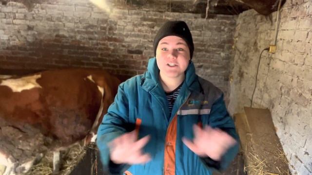 Начинаем Разводить КРС На Ферме В Деревне. Наше Путешествие Началось!