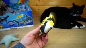 ПОВЕЛИТЕЛИ ТРОПИКОВ