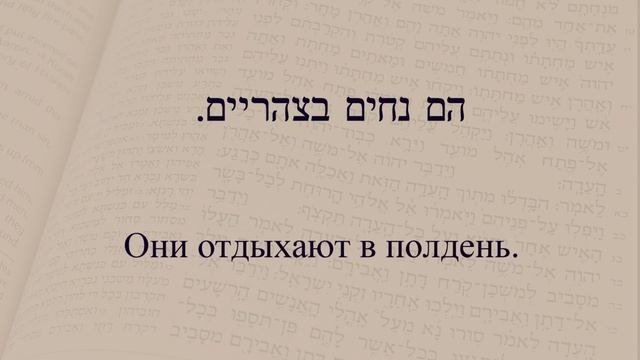 Глаголы в иврите. Глагол 147 